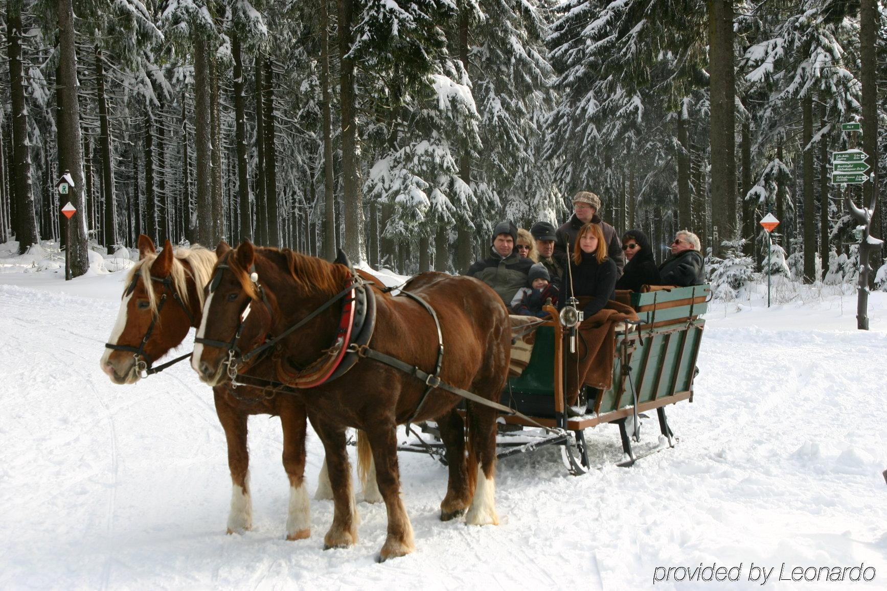 Wagners Sporthotel Oberhof Zewnętrze zdjęcie